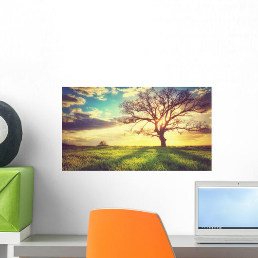 Spring Sunset Lonely Tree Wall Decal