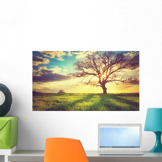 Spring Sunset Lonely Tree Wall Decal