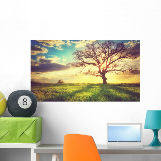 Spring Sunset Lonely Tree Wall Decal