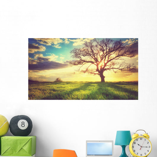 Spring Sunset Lonely Tree Wall Decal