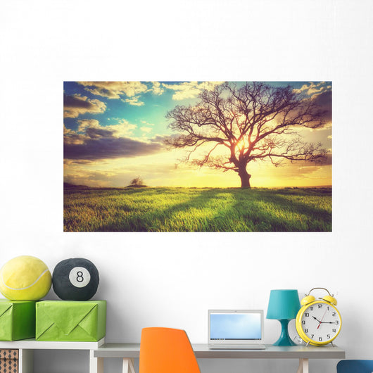 Spring Sunset Lonely Tree Wall Decal