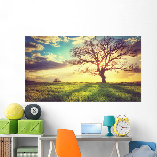 Spring Sunset Lonely Tree Wall Decal