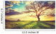 Spring Sunset Lonely Tree Wall Decal
