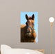 Sorrel Trakehner Foal Blue Wall Decal