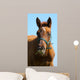 Sorrel Trakehner Foal Blue Wall Decal