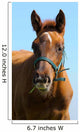 Sorrel Trakehner Foal Blue Wall Decal