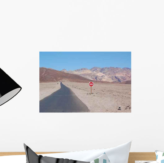 Death Valley Wall Decal