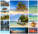 Collage Beach Holiday Scenes Wall Decal
