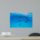 Spinner Dolphins Wall Decal