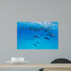 Spinner Dolphins Wall Decal