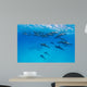 Spinner Dolphins Wall Decal