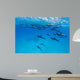 Spinner Dolphins Wall Decal