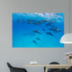 Spinner Dolphins Wall Decal