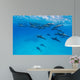 Spinner Dolphins Wall Decal