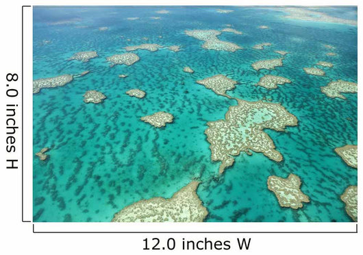 Aerial Great Barrier Reef Wall Decal