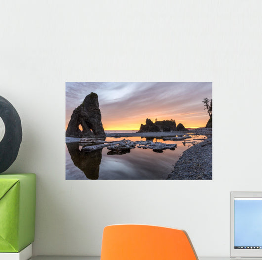 Ruby Beach Reflecting Pool Wall Decal
