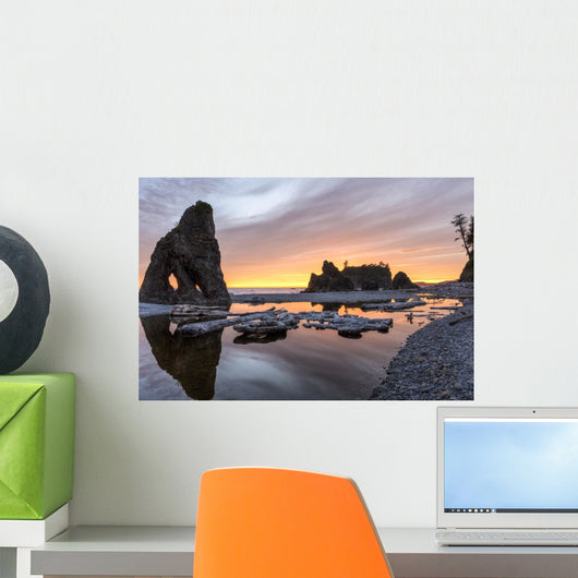 Ruby Beach Reflecting Pool Wall Decal