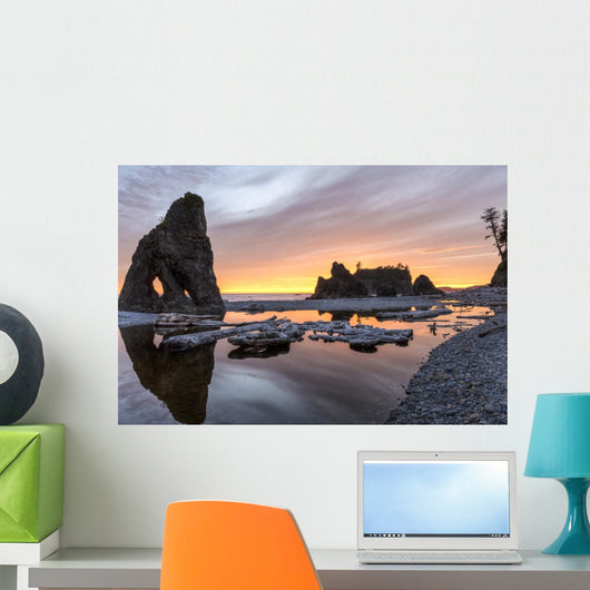 Ruby Beach Reflecting Pool Wall Decal