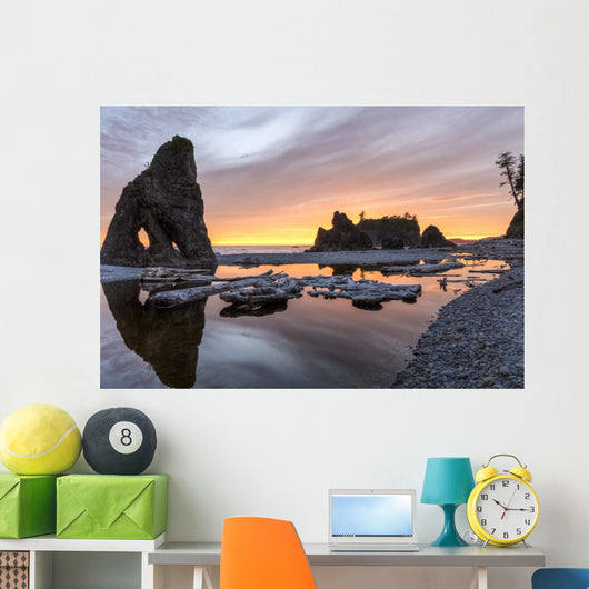 Ruby Beach Reflecting Pool Wall Decal