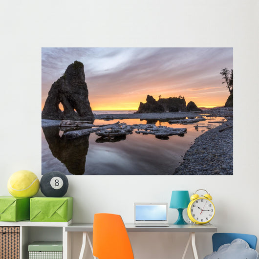Ruby Beach Reflecting Pool Wall Decal