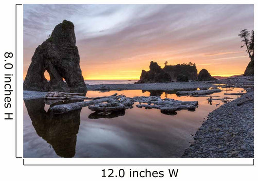 Ruby Beach Reflecting Pool Wall Decal