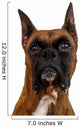 Boxer Dog Wall Decal