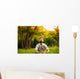 Man Sitting Grass Park Wall Decal