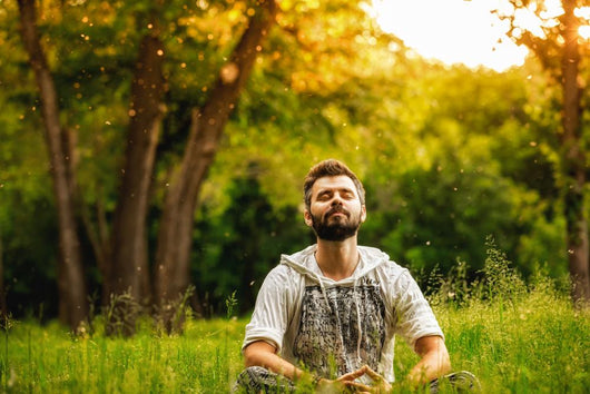 Man Sitting Grass Park Wall Decal