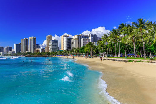 Honolulu Hawaii Wall Decal