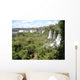 Iguazu Falls Wall Decal
