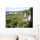 Iguazu Falls Wall Decal