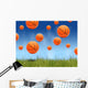 Basketball Balls Wall Decal