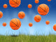 Basketball Balls Wall Decal