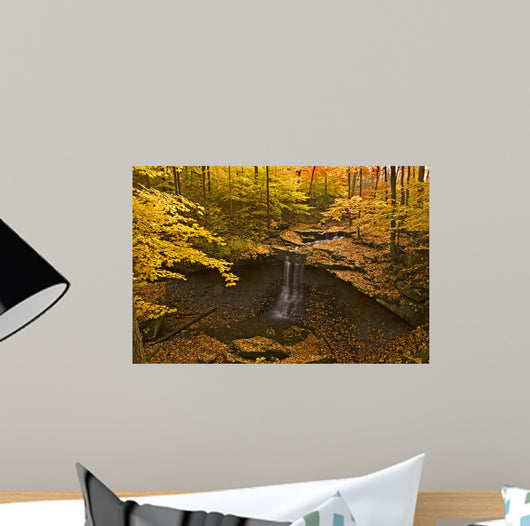 Blue Hen Waterfall Wall Decal