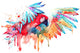 Rainbow Watercolor Parrot Wall Decal