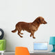 Dog Dachshund White Wall Decal