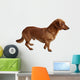 Dog Dachshund White Wall Decal