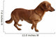 Dog Dachshund White Wall Decal