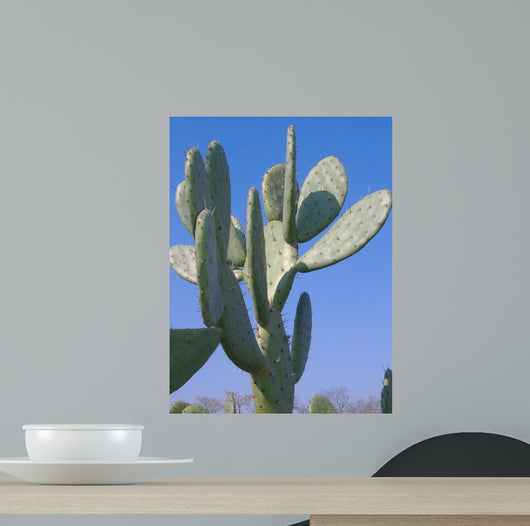 Spiky Cactus Wall Decal