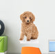Toy Poodle Puppy Wall Decal
