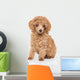 Toy Poodle Puppy Wall Decal