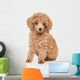 Toy Poodle Puppy Wall Decal