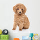 Toy Poodle Puppy Wall Decal