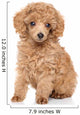 Toy Poodle Puppy Wall Decal
