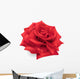 Red Rose Hand Drawn Wall Decal