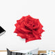Red Rose Hand Drawn Wall Decal