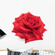 Red Rose Hand Drawn Wall Decal