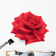 Red Rose Hand Drawn Wall Decal
