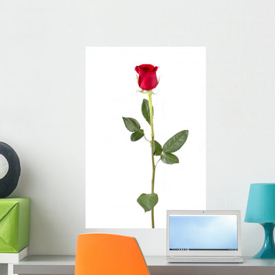 Long Stem Rose Wall Decal shown on a wall