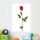 Long Stem Rose Wall Decal